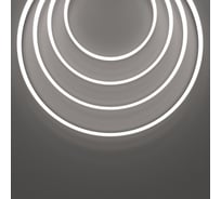 Гибкий неон Maytoni 12x6 24В 10Вт/м 6000K IP67 5м 432031