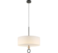 Подвесной светильник Maytoni MOD437PL-05B