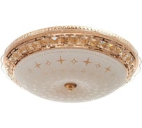 Светильник с ПДУ BayerLux 670005N LED 80Вт 3 режима 3000-6000К диммер золото 50х50х11 см 4625969
