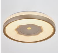 Светильник с ПДУ BayerLux 670524N LED 80Вт 3 режима 3000-6000К диммер золото 49х49х9,5 см 4623899