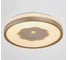 Светильник с ПДУ BayerLux 670524N LED 80Вт 3 режима 3000-6000К диммер золото 49х49х9,5 см 4623899 1