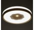 Светильник с ПДУ BayerLux 670524N LED 80Вт 3 режима 3000-6000К диммер золото 49х49х9,5 см 4623899 5