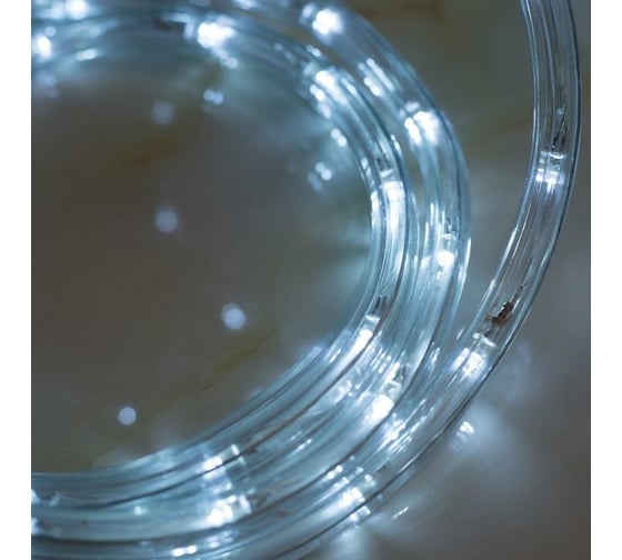 Светодиодный шнур Luazon, 10 мм, круглый, 5 м, чейзинг, 2W-LED/м-24-220V, контроллер, 8 режимов, белый 1589818