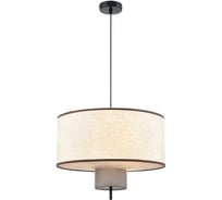 Светильник подвесной LUMION E14 4*40W SORENTO 8282/4