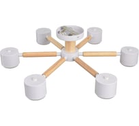 Светильник подвесной LUMION GX53 6*7W VUDI 8306/6C