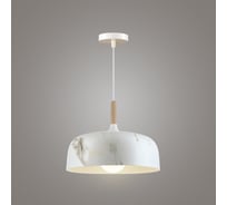 Подвесной светильник RITTER DOME 1xE27, дерево (матовый) 52642 1