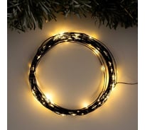 Гирлянда-нить Luazon ROSA, IP20, 10 м, черная нить, LED1608-100-12V, БП в комплекте, фиксинг, теплый белый 5198367