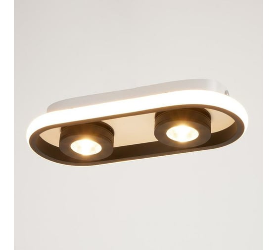 Спот BayerLux 1943/2 LED 20Вт 4000К бело-черный 30х13х5 см 6784019