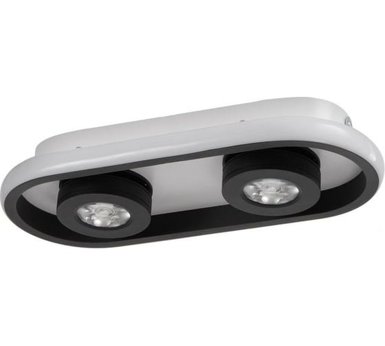 Спот BayerLux 1943/2 LED 20Вт 4000К бело-черный 30х13х5 см 6784019