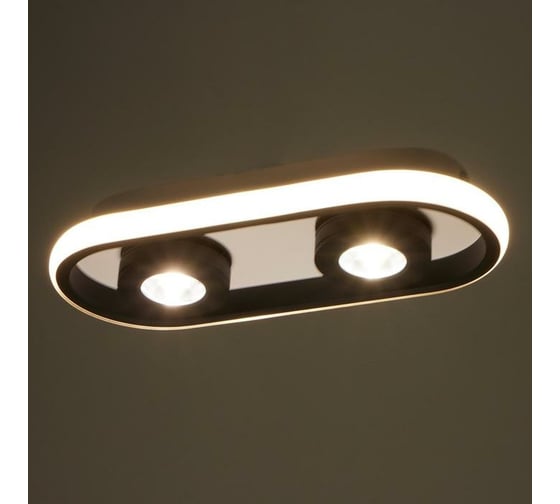 Спот BayerLux 1943/2 LED 20Вт 4000К бело-черный 30х13х5 см 6784019