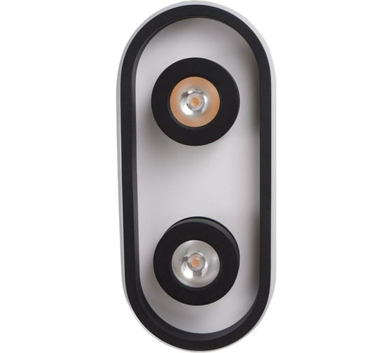 Спот BayerLux 1943/2 LED 20Вт 4000К бело-черный 30х13х5 см 6784019