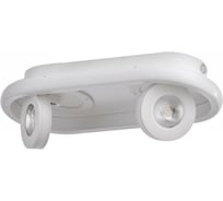 Спот BayerLux 1943/2 LED 20Вт 4000К белый 30х13х5 см 6784021