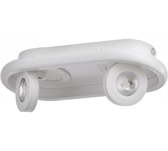 Спот BayerLux 1943/2 LED 20Вт 4000К белый 30х13х5 см 6784021