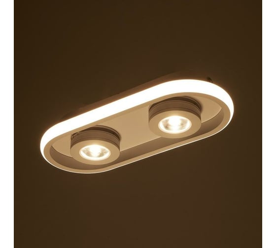 Спот BayerLux 1943/2 LED 20Вт 4000К белый 30х13х5 см 6784021