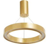 Люстра с ПДУ BayerLux "Бергамо" 45Вт 3000-6000К LED золотой d.40см 4494660