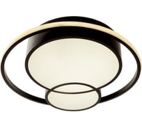 Люстра с ПДУ BayerLux "Саменто" LED 3 режима 3000-6000K 88Вт черный 49х49х8,5 см. 4525480