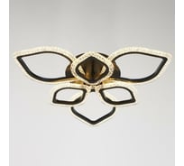 Люстра с ПДУ BayerLux 10021/6BK LED 145Вт 3000-6000К диммер, черный 61х61 см 5177733