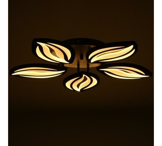 Люстра с ПДУ BayerLux 59113/5BK LED 120Вт 3000-6000К диммер, черный 55х55х7 см 5109281