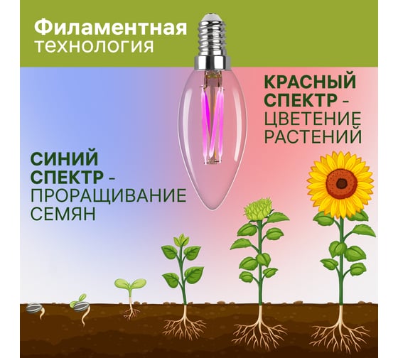 Светодиодная лампа для растений REV FILAMENT свеча C37 7 Вт, E14 32556 7