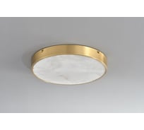 Потолочный светодиодный светильник Belfasteon Devon 3395-3 BR MB