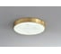 Потолочный светодиодный светильник Belfasteon Devon 3395-3 BR MB 4