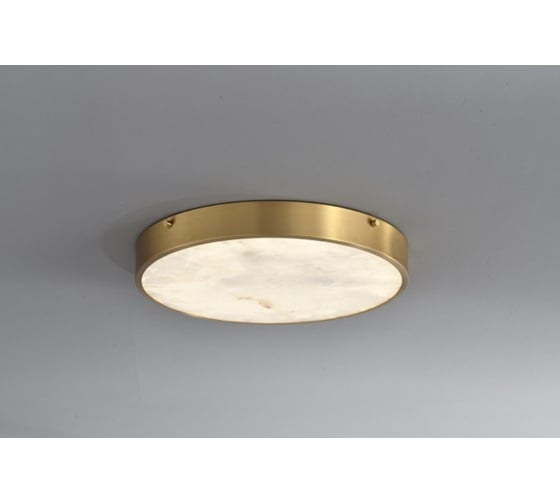 Потолочный светодиодный светильник Belfasteon Devon 3395-5 BR MB 1