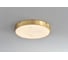 Потолочный светодиодный светильник Belfasteon Devon 3395-5 BR MB 4