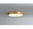 Потолочный светодиодный светильник Belfasteon Devon 3395-5 BR MB 5