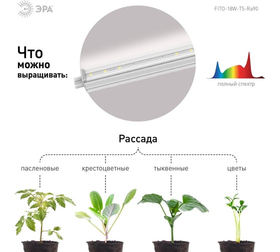 Линейный фито светильник для растений и рассады ЭРА полного спектра FITO 18W T5 Ra90 Б0049313