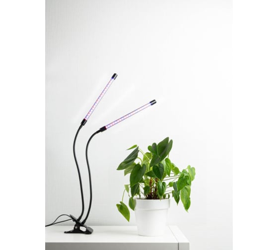 Фитосветильник для растений Avrora Light 8 Вт, ALG0012022