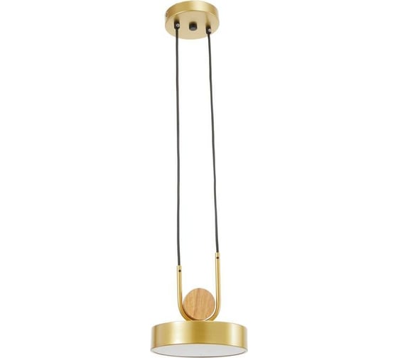 Светильник BayerLux 35425/1 LED 24Вт 3000-6000К золотой 18х18х20 см 4941226 1