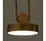 Светильник BayerLux 35425/1 LED 24Вт 3000-6000К золотой 18х18х20 см 4941226 5