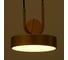Светильник BayerLux 35425/1 LED 24Вт 3000-6000К золотой 18х18х20 см 4941226 6
