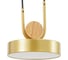 Светильник BayerLux 35425/1 LED 24Вт 3000-6000К золотой 18х18х20 см 4941226 8