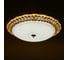 Светильник BayerLux 670001N LED 80Вт 3 режима 3000-6000К диммер, золото 50х50х11 см 4625965 6