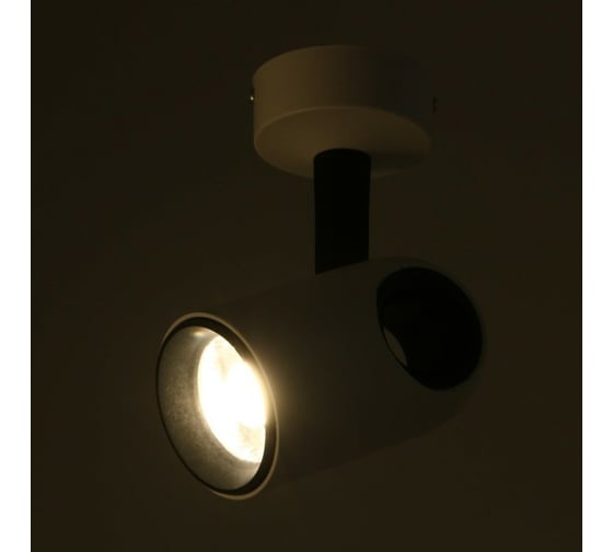 Спот BayerLux 87402/1 LED 30Вт 4000К белый-черный 15х8х18 см 5087617