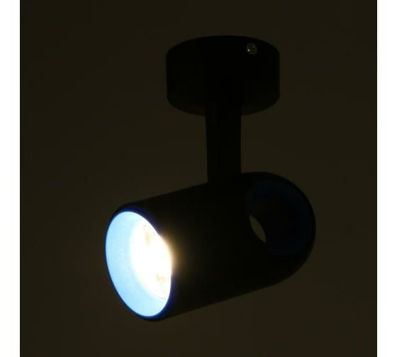 Спот BayerLux 87404/1 LED 30Вт 4000К черный-синий 15х8х18 см 5087619