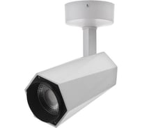 Спот BayerLux 87405/1 LED 20Вт 4000К белый 15х8х18 см 5087620
