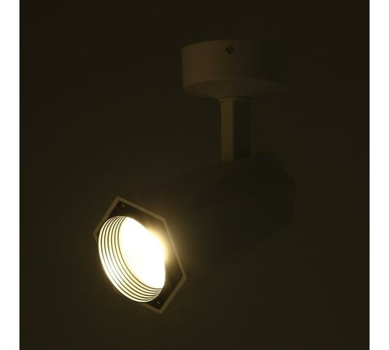 Спот BayerLux 87405/1 LED 20Вт 4000К белый 15х8х18 см 5087620