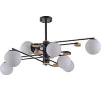 Люстра Rivoli Emilie 3096308 8 Е27 40 Вт модерн Б0050835