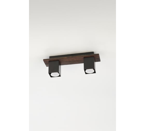 Потолочный светильник Rivoli Luise 3102312 2 GU10 50 Вт модерн Б0051251