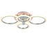 Потолочная люстра EVOLED Cerina SLE500512-04RGB 2
