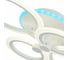 Потолочная люстра EVOLED Cerina SLE500552-04RGB 6