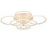 Потолочная люстра EVOLED Cerina SLE500552-08RGB 2