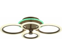 Потолочная люстра EVOLED Cerina SLE500572-04RGB