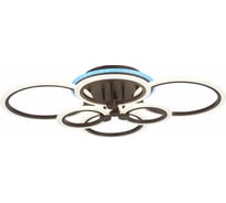 Потолочная люстра EVOLED Cerina SLE500572-06RGB