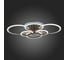 Потолочная люстра EVOLED Cerina SLE500572-06RGB 8