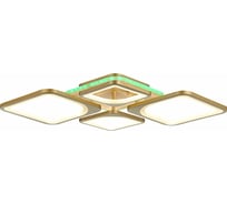 Потолочная люстра EVOLED Giura SLE500322-04RGB