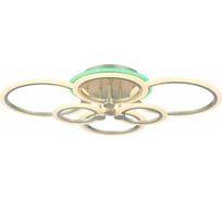 Потолочная люстра EVOLED Cerina SLE500592-06RGB