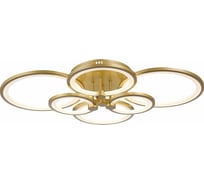 Потолочная люстра EVOLED Leto SLE200322-06